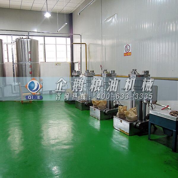 核桃油壓榨生產(chǎn)線,企鵝榨油機(jī)好評(píng)如潮(圖1) 核桃油加工設(shè)備